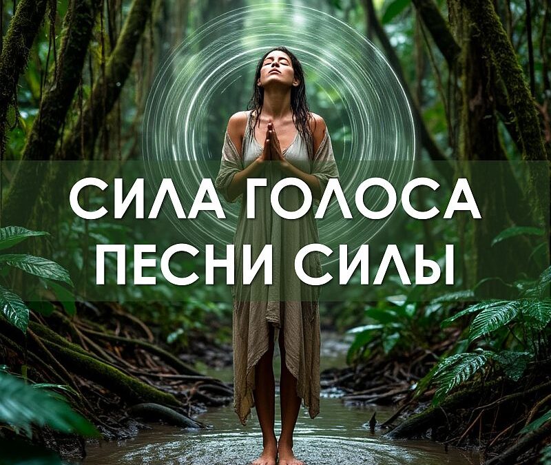 сила голоса песни силы